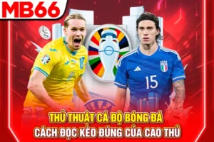 Thủ Thuật Cá Độ Bóng Đá - Cách Đọc Kèo Đúng Của Cao Thủ